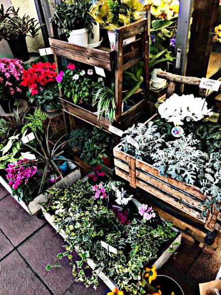 「花のみやはら」　（山口県防府市）の花屋店舗写真1