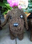 うちの愛犬。｜「花のみやはら」　（山口県防府市の花キューピット加盟店 花屋）のブログ
